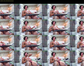 falcon_prince20