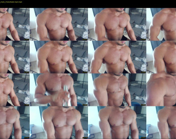 flex_x_x