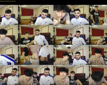 teddy_mode