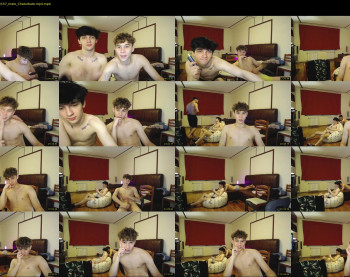 teddy_mode