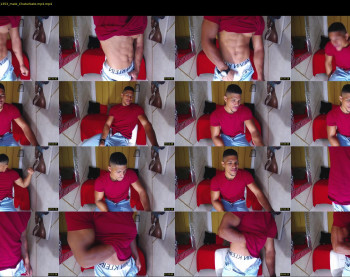 teddyfit19cm