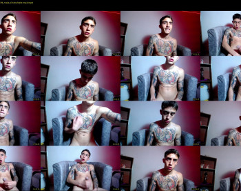 littleferxxo