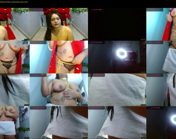jamaica_wolf