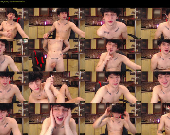 teddy_mode