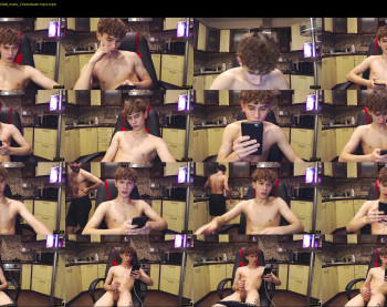 teddy_mode