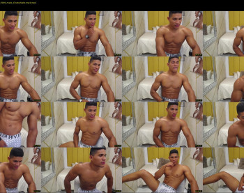 teddyfit19cm