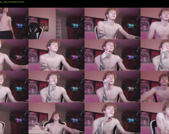 alvin__main