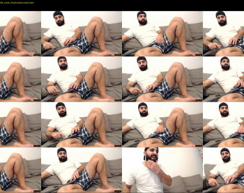 djefri_bear
