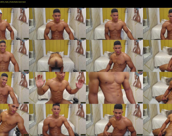 teddyfit19cm