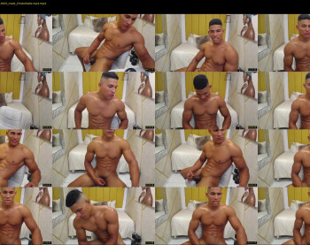 teddyfit19cm