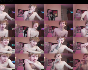 alvin__main