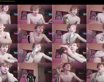 alvin__main