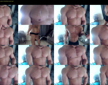 flex_x_x