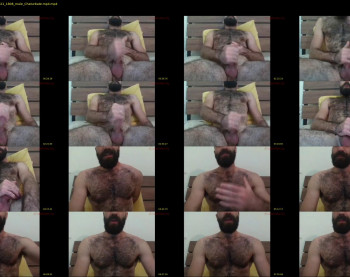 bearmanual