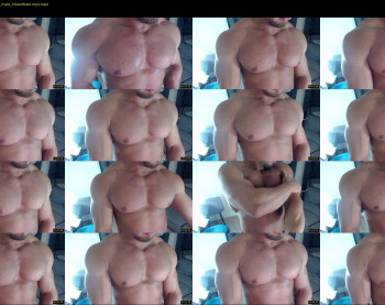 flex_x_x
