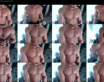 flex_x_x