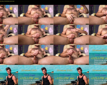 hot_bear_