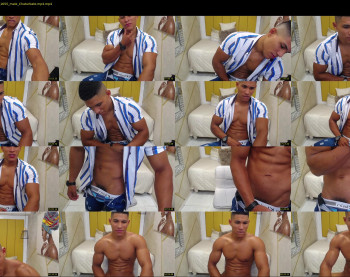 teddyfit19cm