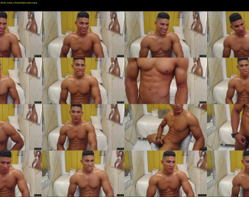 teddyfit19cm