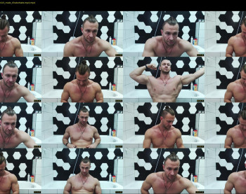 ice_phoenix