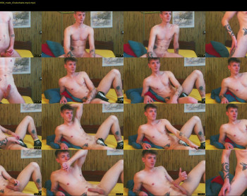 willardgram