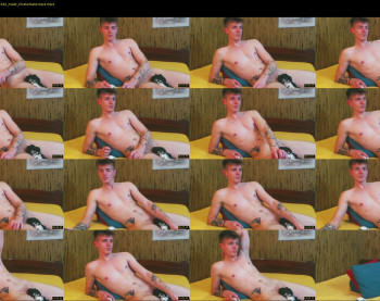 willardgram