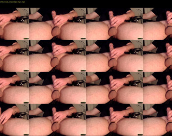 donaldbump