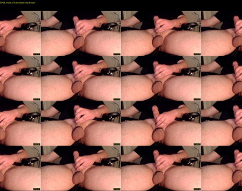 donaldbump