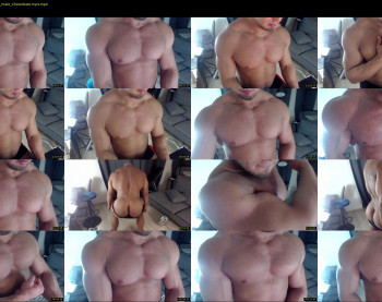 flex_x_x