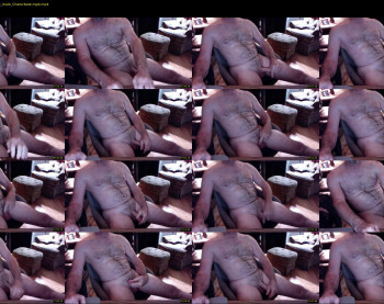 steviejla