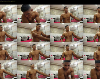 teddyfit19cm