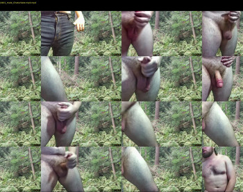 walrusface99
