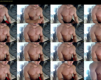flex_x_x