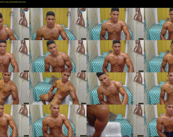 teddyfit19cm
