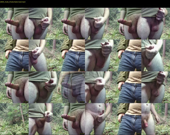 walrusface99