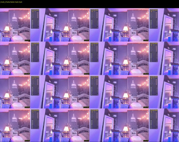 steboy_