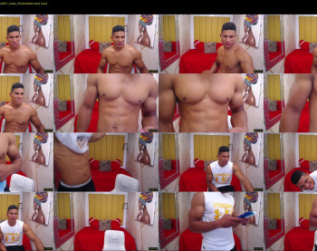 teddyfit19cm