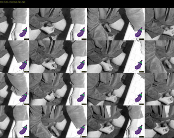 didipuche69