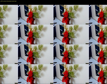jasoon_white1