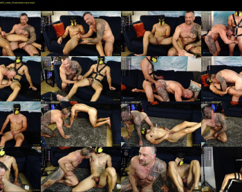 muscle_dog