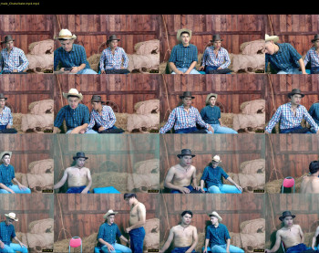 boys_bi