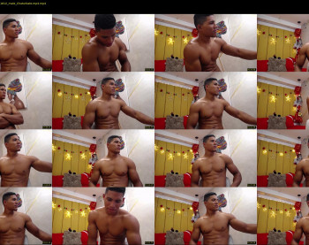 teddyfit19cm