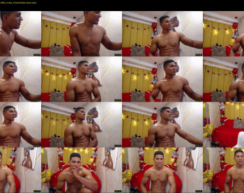 teddyfit19cm