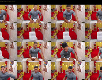 teddyfit19cm