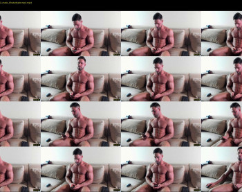_adam19