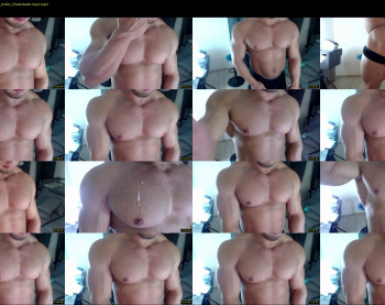flex_x_x