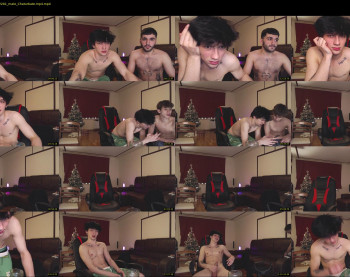 teddy_mode