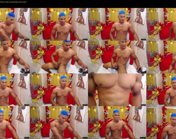teddyfit19cm