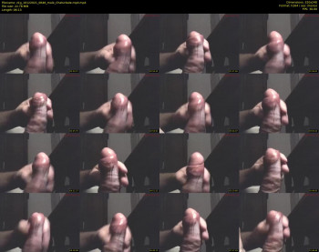 z1g