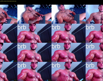 andrew_holden